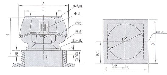 1605949514.jpg 2011072617012970554.jpg